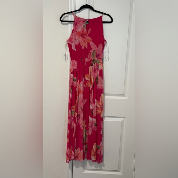 Alexa B Nites Dresses & Skirts - Floral Pink Maxi Dress